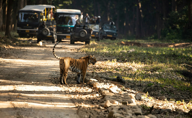 Uttarakand Trio 